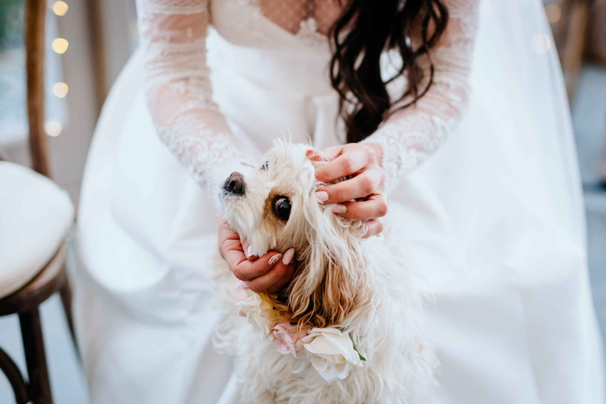 a bride embraces her little dog at a winter trevenna barns wedding cornwall