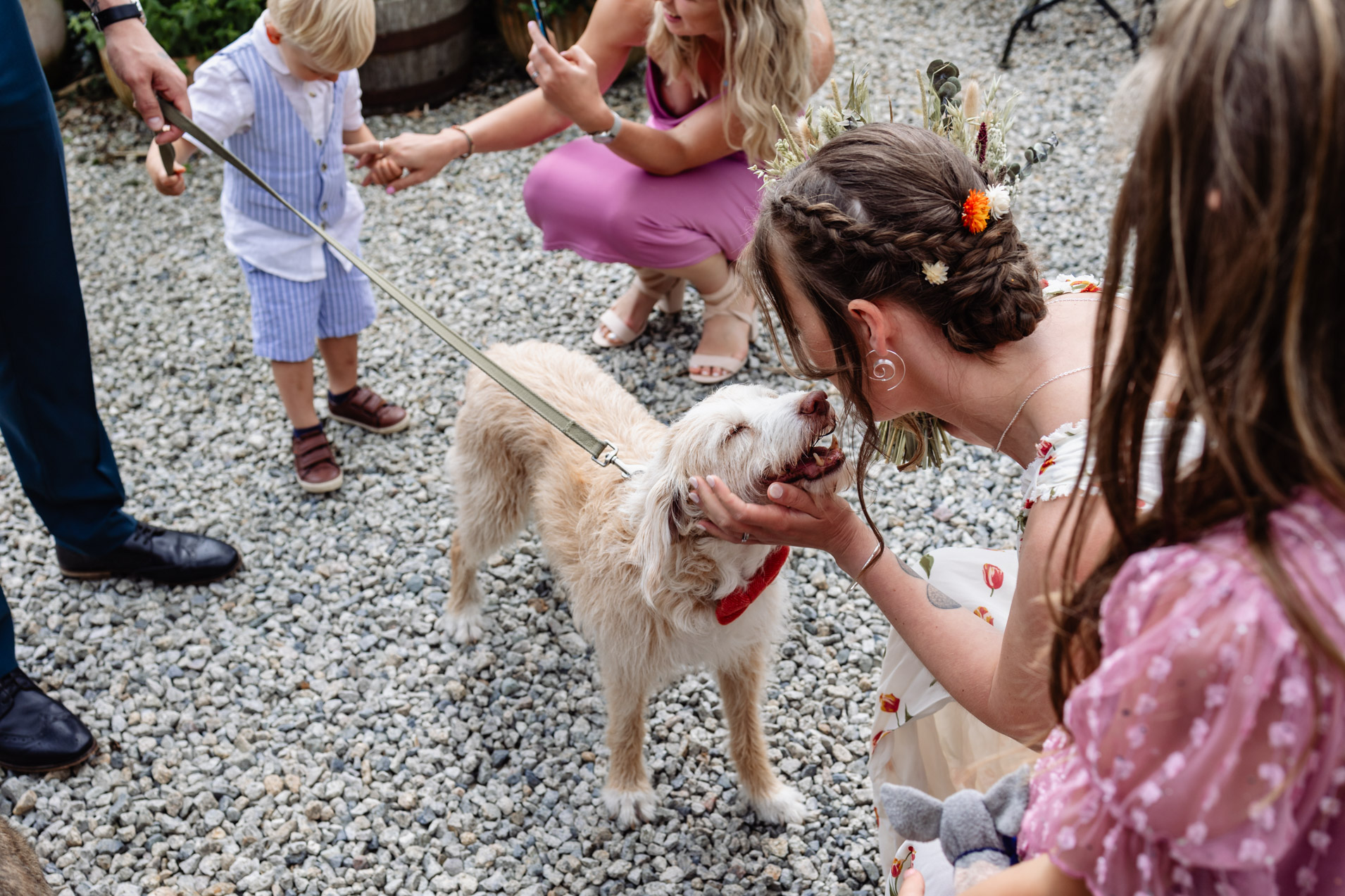 bride kisses her dog at wonwood barton relaxed wedding with dogs in devon