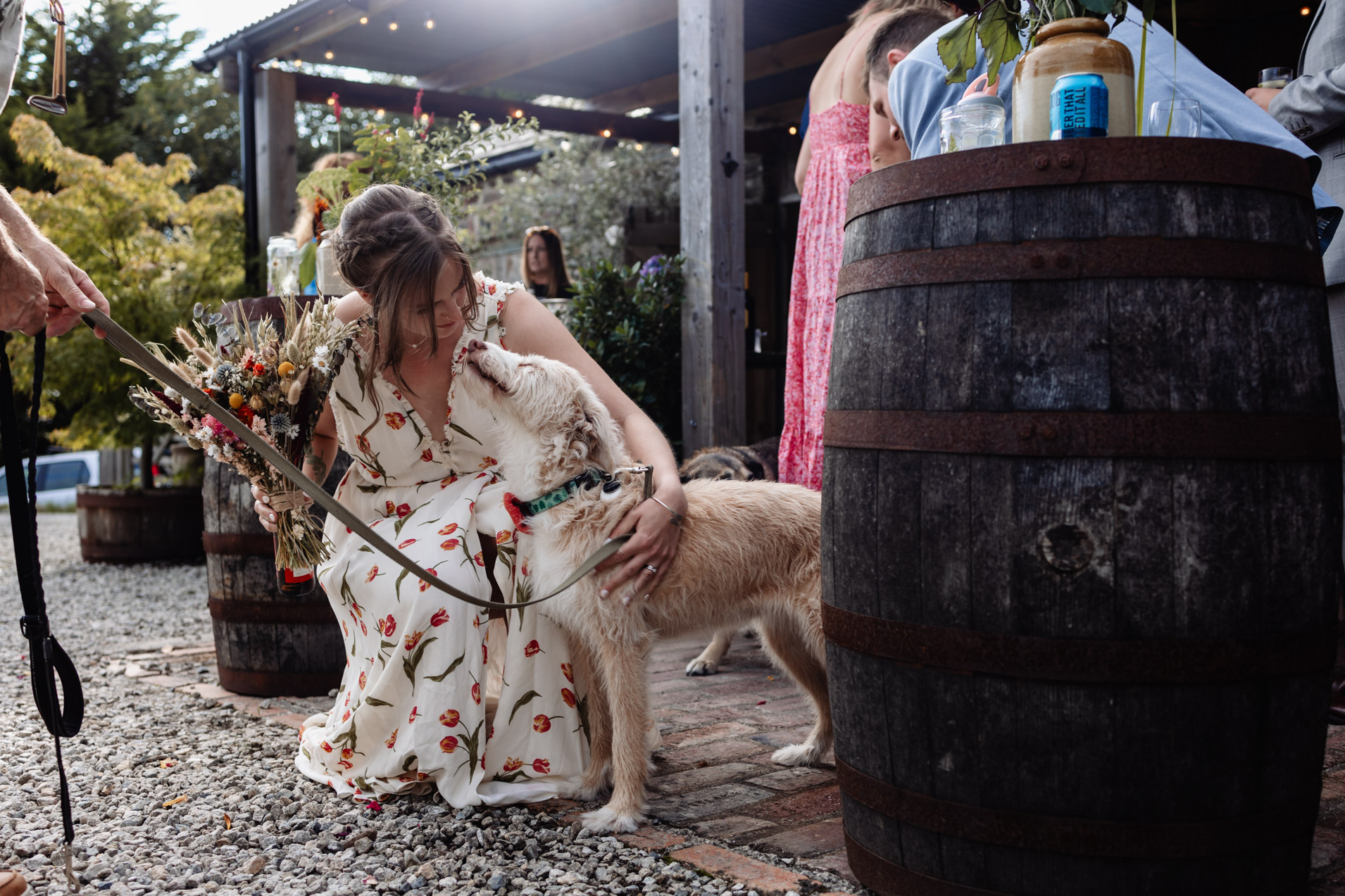bride kisses her dog at relaxed wedding with dogs at wonwood barton devon